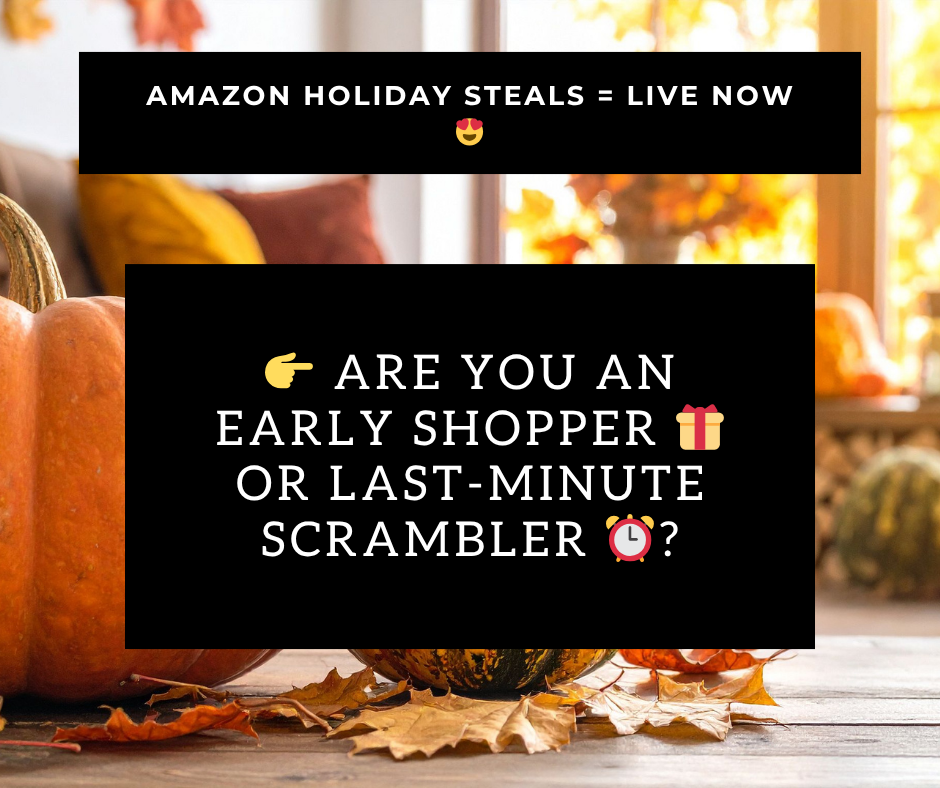 Amazon Holiday Steals